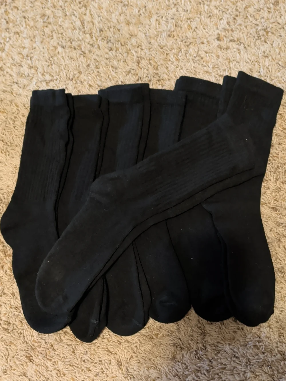 Youth Crew Sock Bundle